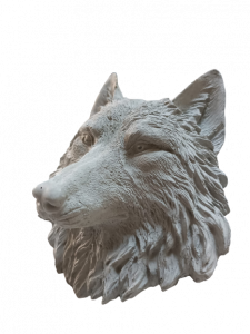 Betonarme Kurt Kafası Tasarımı