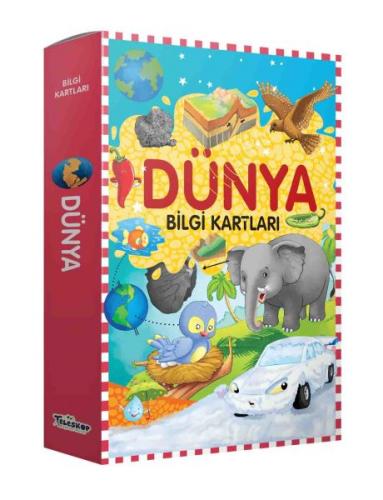 Bilgi Kartları - Dünya