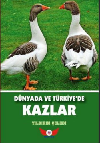 Dünyada Ve Türkiye'de Kazlar