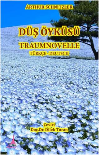 Düş Öyküsü