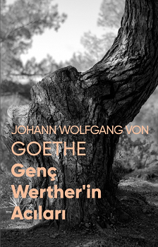Genç Werther'in Acıları