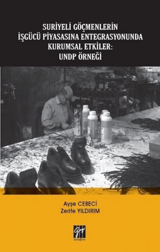 Suriyeli Göçmenlerin İşgücü Piyasasına Entegrasyonunda Kurumsal Etkiler - UNDP Örneği